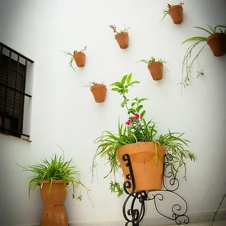 Guest house Malia 2*